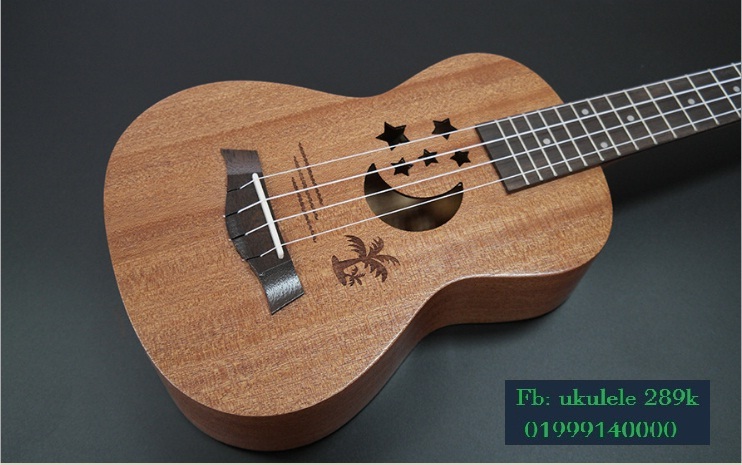 Đàn ukulele giá rẻ tại Tp.HCM
