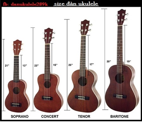 phân loại đàn ukulele