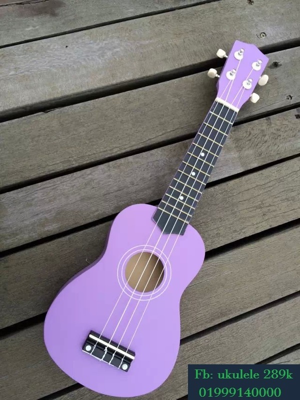 Đàn ukulele giá rẻ tại Tp.HCM